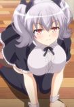 Watch Night Tail online free