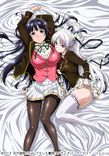 Watch Ojousama Yomeiri Kousou! online free